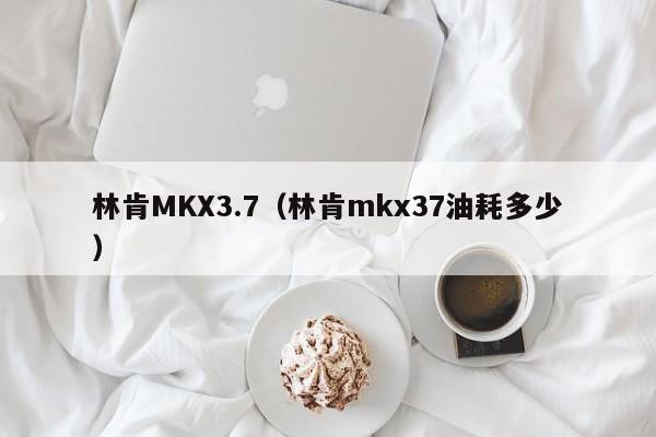 林肯MKX3.7（林肯mkx37油耗多少）