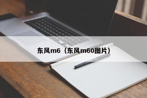 东风m6（东风m60图片）