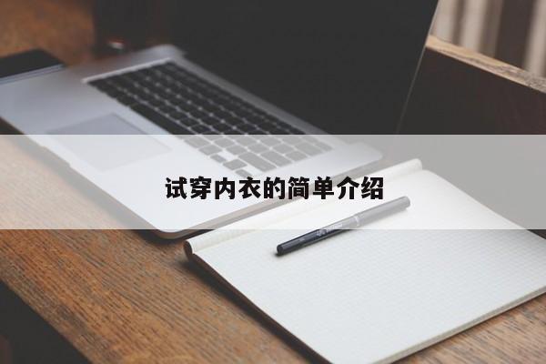 试穿内衣的简单介绍