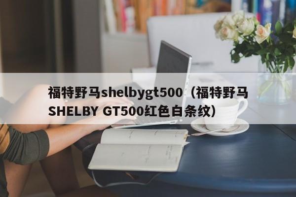 福特野马shelbygt500（福特野马SHELBY GT500红色白条纹）