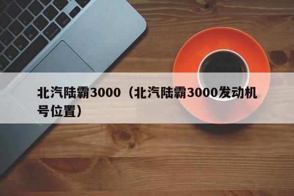 北汽陆霸3000（北汽陆霸3000发动机号位置）