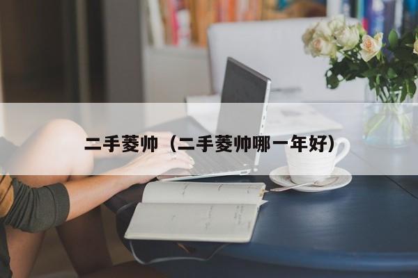 二手菱帅（二手菱帅哪一年好）