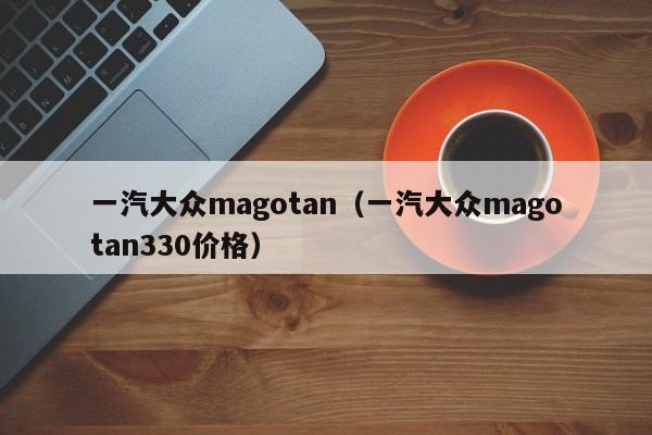 一汽大众magotan（一汽大众magotan330价格）
