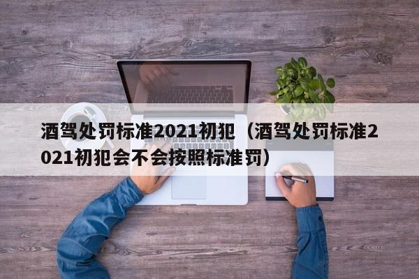 酒驾处罚标准2021初犯（酒驾处罚标准2021初犯会不会按照标准罚）