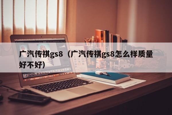 广汽传祺gs8（广汽传祺gs8怎么样质量好不好）