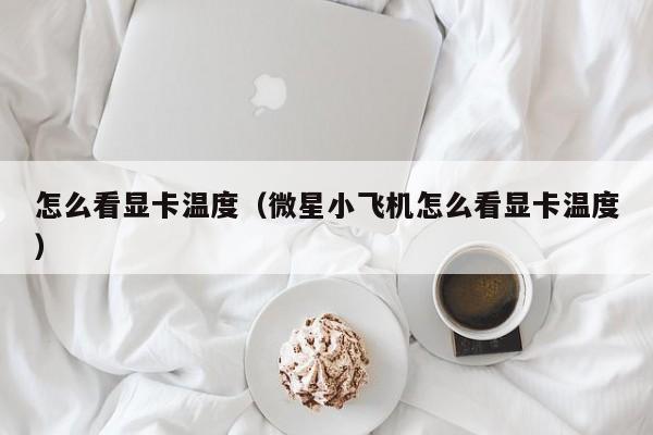 怎么看显卡温度（微星小飞机怎么看显卡温度）