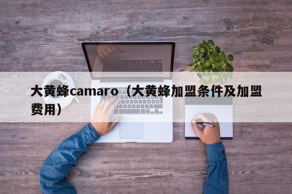 大黄蜂camaro（大黄蜂加盟条件及加盟费用）
