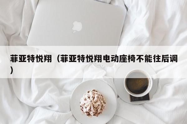 菲亚特悦翔（菲亚特悦翔电动座椅不能往后调）