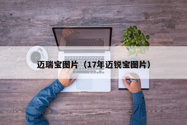 迈瑞宝图片（17年迈锐宝图片）