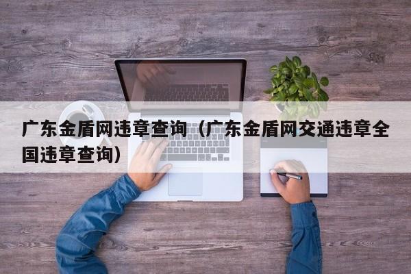 广东金盾网违章查询（广东金盾网交通违章全国违章查询）