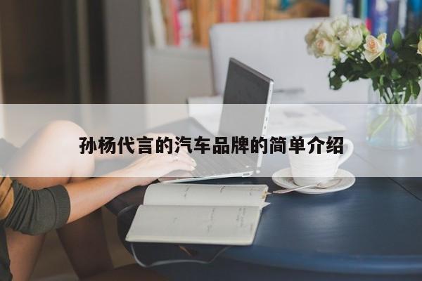 孙杨代言的汽车品牌的简单介绍