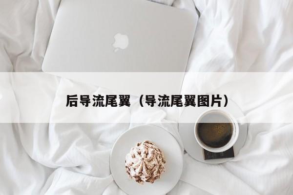 后导流尾翼（导流尾翼图片）