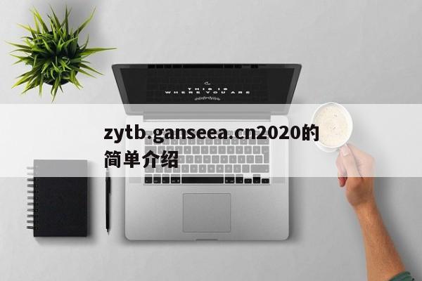 zytb.ganseea.cn2020的简单介绍