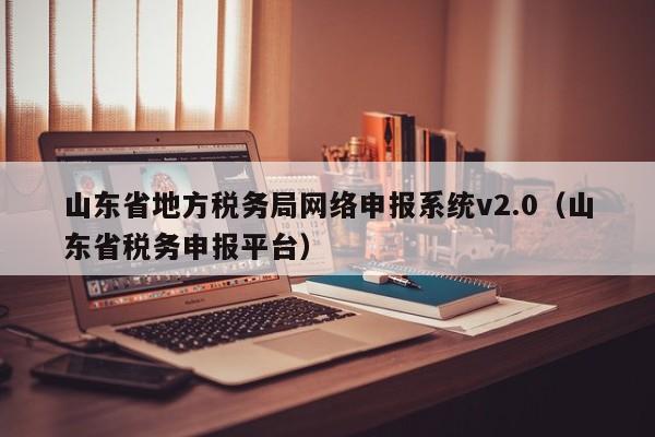 山东省地方税务局网络申报系统v2.0（山东省税务申报平台）