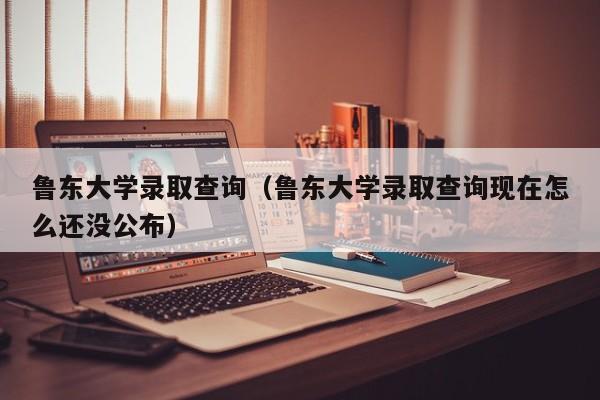 鲁东大学录取查询（鲁东大学录取查询现在怎么还没公布）
