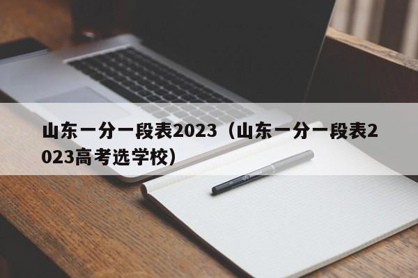 山东一分一段表2023（山东一分一段表2023高考选学校）