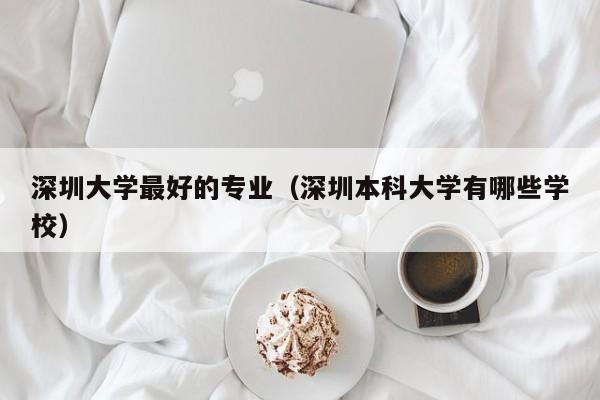 深圳大学最好的专业（深圳本科大学有哪些学校）