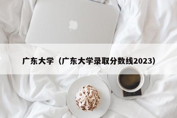 广东大学（广东大学录取分数线2023）