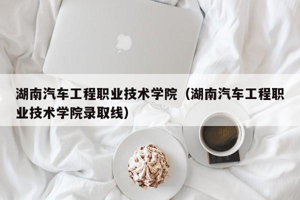 湖南汽车工程职业技术学院（湖南汽车工程职业技术学院录取线）