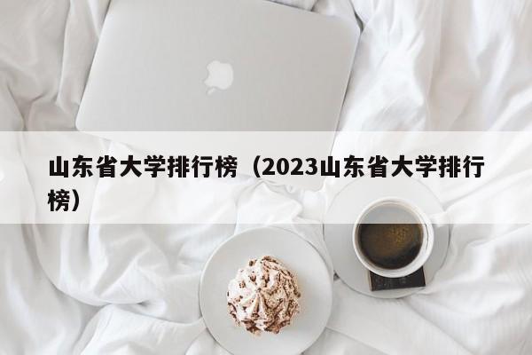 山东省大学排行榜（2023山东省大学排行榜）