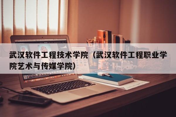武汉软件工程技术学院（武汉软件工程职业学院艺术与传媒学院）
