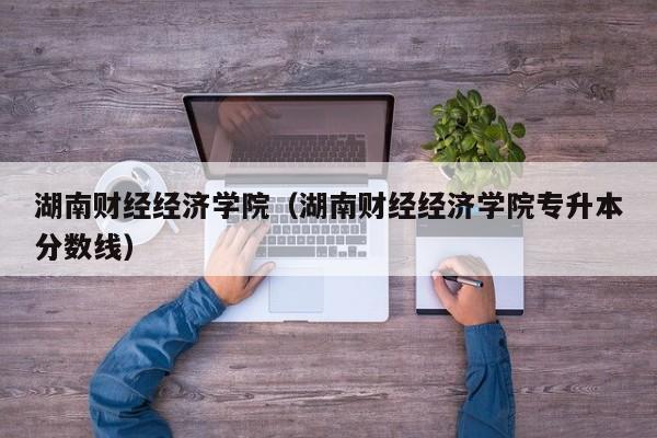 湖南财经经济学院（湖南财经经济学院专升本分数线）