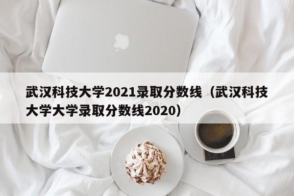 武汉科技大学2021录取分数线（武汉科技大学大学录取分数线2020）