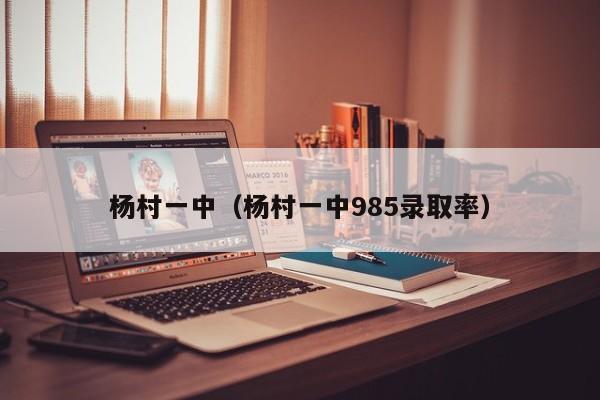 杨村一中（杨村一中985录取率）