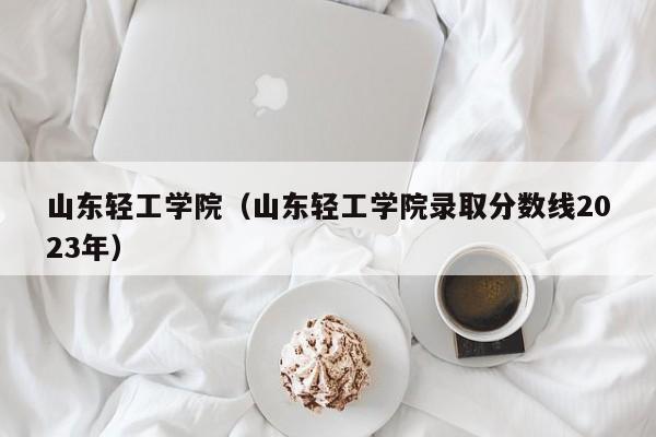 山东轻工学院（山东轻工学院录取分数线2023年）