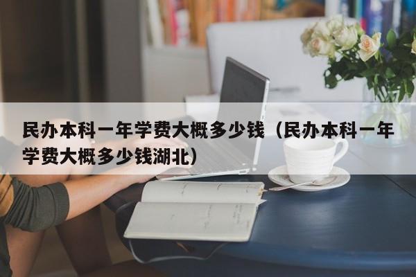 民办本科一年学费大概多少钱（民办本科一年学费大概多少钱湖北）