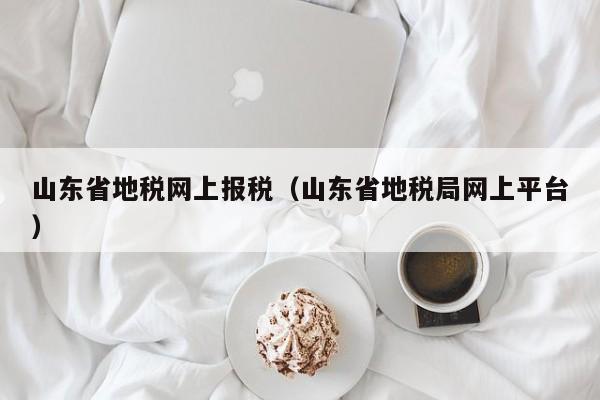 山东省地税网上报税（山东省地税局网上平台）