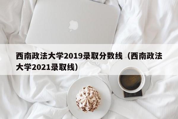 西南政法大学2019录取分数线（西南政法大学2021录取线）