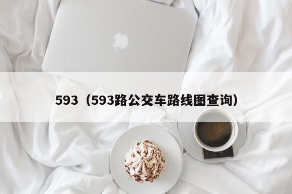 593（593路公交车路线图查询）