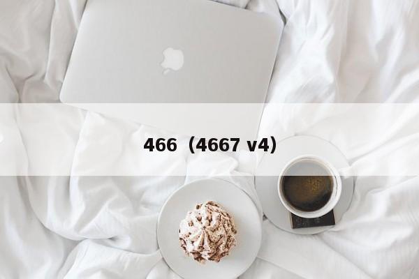 466（4667 v4）