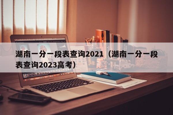 湖南一分一段表查询2021（湖南一分一段表查询2023高考）