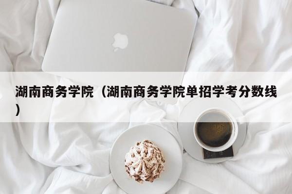 湖南商务学院（湖南商务学院单招学考分数线）