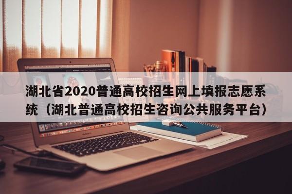 湖北省2020普通高校招生网上填报志愿系统（湖北普通高校招生咨询公共服务平台）