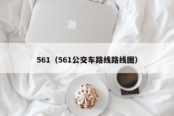 561（561公交车路线路线图）