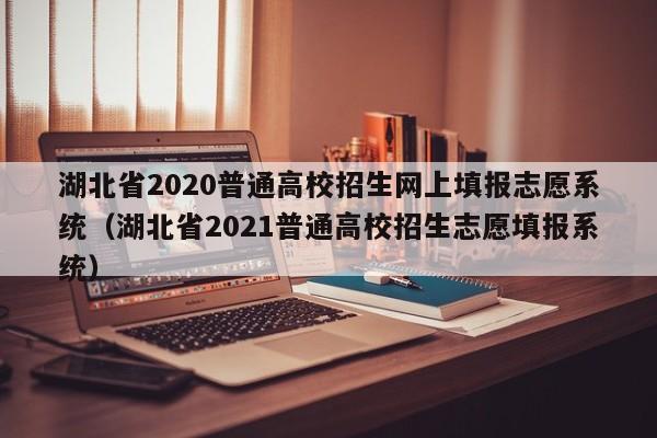 湖北省2020普通高校招生网上填报志愿系统（湖北省2021普通高校招生志愿填报系统）