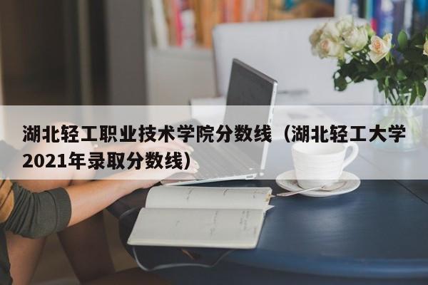 湖北轻工职业技术学院分数线（湖北轻工大学2021年录取分数线）