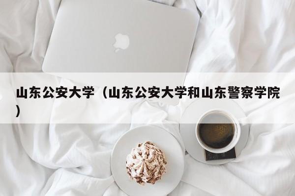 山东公安大学（山东公安大学和山东警察学院）