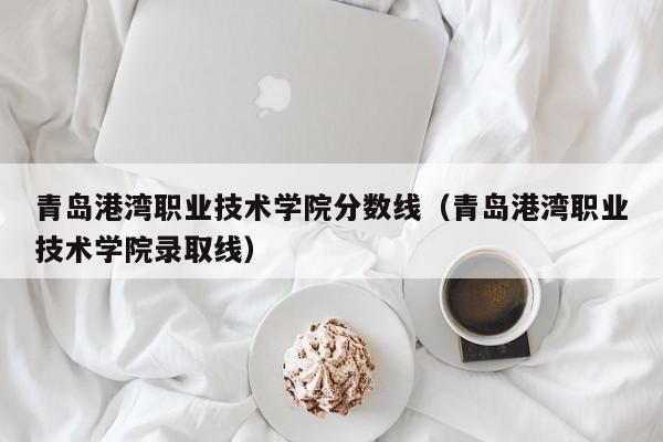 青岛港湾职业技术学院分数线（青岛港湾职业技术学院录取线）