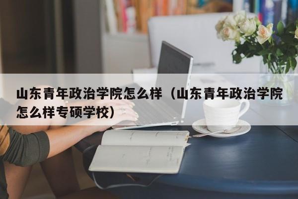 山东青年政治学院怎么样（山东青年政治学院怎么样专硕学校）
