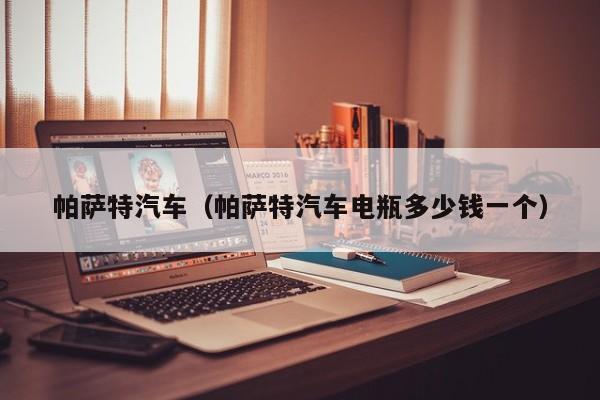 帕萨特汽车（帕萨特汽车电瓶多少钱一个）