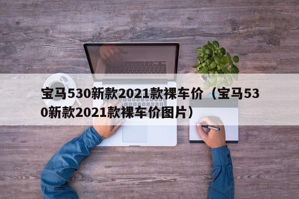 宝马530新款2021款裸车价（宝马530新款2021款裸车价图片）