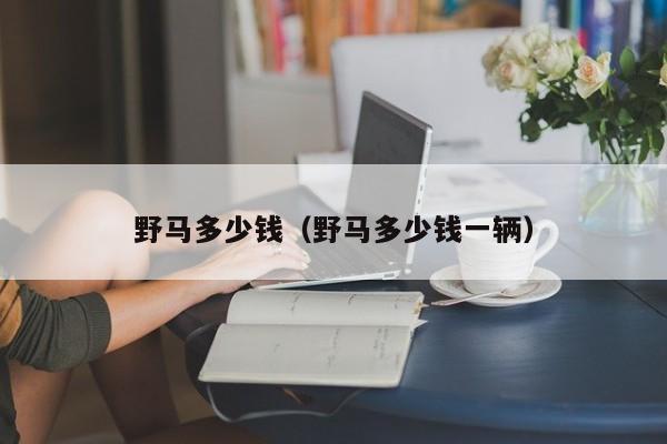 野马多少钱（野马多少钱一辆）