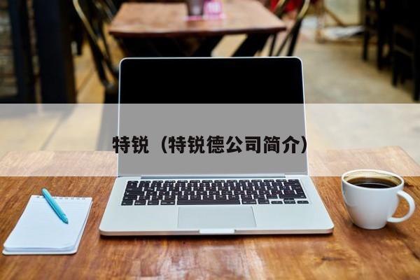 特锐（特锐德公司简介）