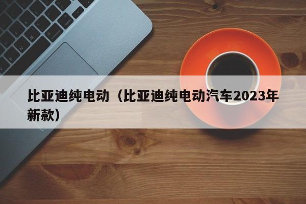 比亚迪纯电动（比亚迪纯电动汽车2023年新款）