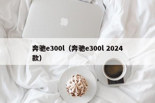 奔驰e300l（奔驰e300l 2024款）