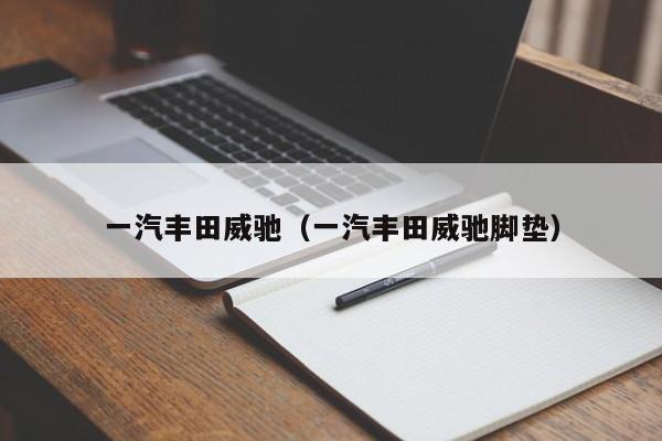 一汽丰田威驰（一汽丰田威驰脚垫）